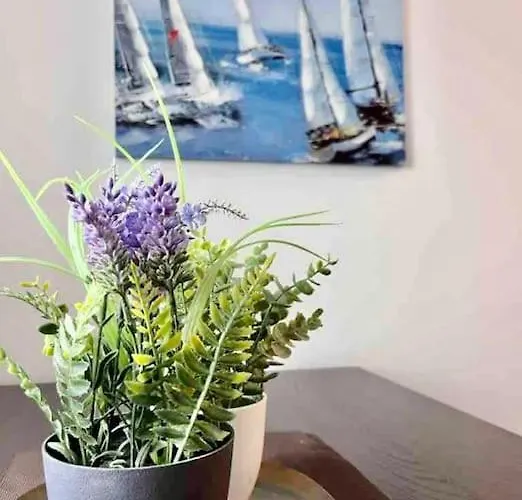 Lägenhet Un Ete Sans Fin A Deauville